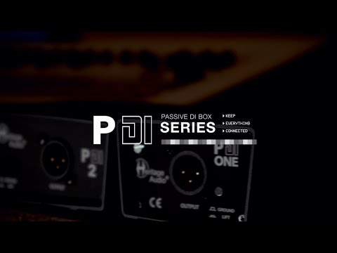 Heritage Audio P-DI-2 Passive 2-channel Vintage-style Direct Box with Ground Lift, -15dB Pad, and Thru Outputs